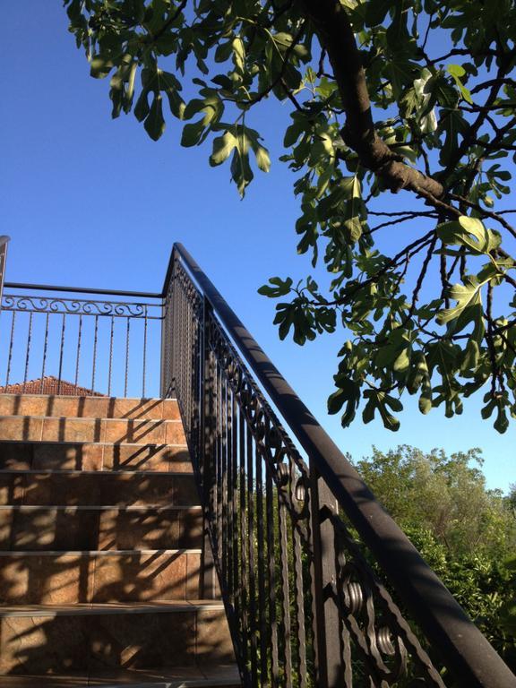 Apartmani Tivat Kaludjerovic 객실 사진